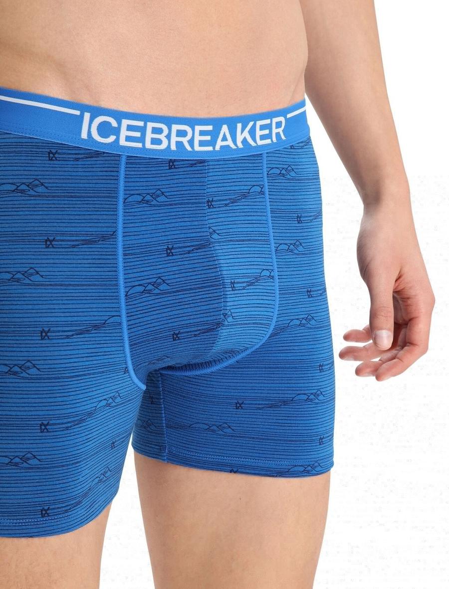 Men's Icebreaker Merino Anatomica Boxers Underwear Lazurite / Midnight Navy | CA 1637JPQJ